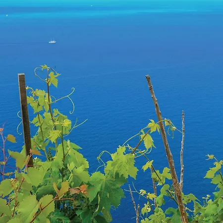 Nyaraló 4 Bedroom Lovely In Orebić