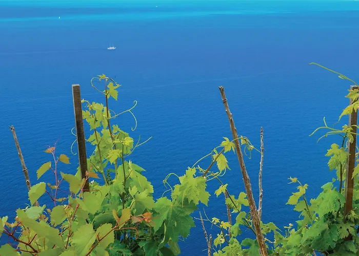 בית נופש 4 Bedroom Lovely In אורביץ